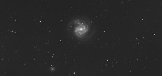 Supernova SN 2020jfo in Messier 61. 12 May 2020.