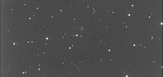 Supernova SN 2021bge in UGC 2505: 11 Feb. 2021
