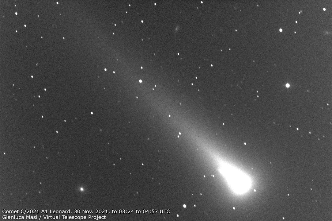 Comet C/2021 A1 Leonard: ion tail evolution.