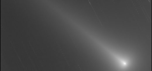 Comet C/2021 A1 Leonard: 7 Dec. 2021.