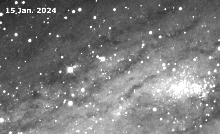 The new variable star in the field of Messier 31.