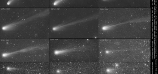 Comet 12P/Pons-Brooks: evolution of its tail and inner coma.