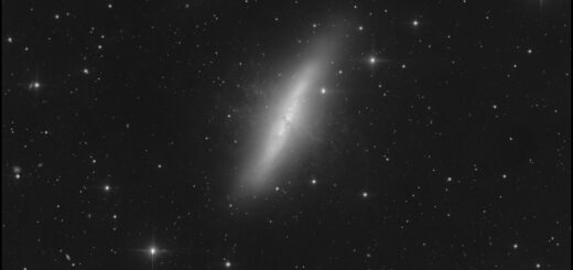 Messier 82, aka NGC 3034. 19 Mar. 2025.