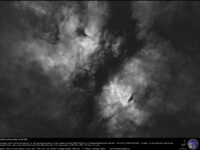 The IC 1318 “Butterfly” emission nebula: H-alpha image.