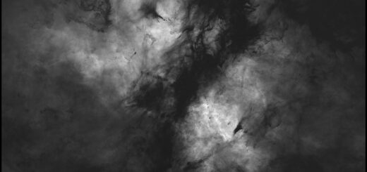 The IC 1318 “Butterfly” emission nebula: H-alpha image.