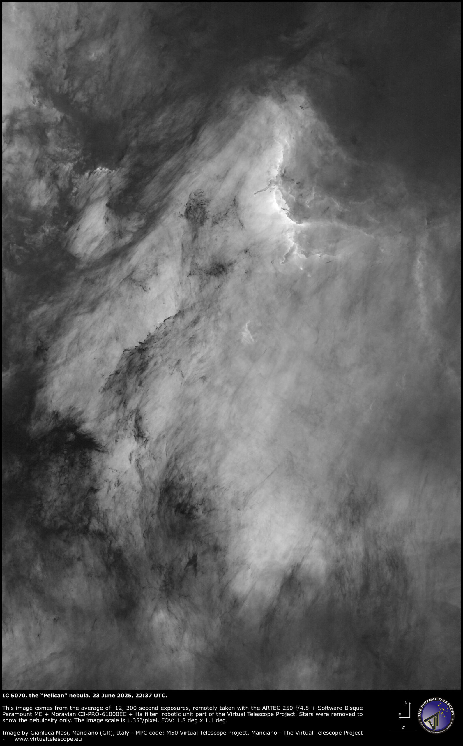 IC 5070, the “Pelican" emission nebula: H-alpha image.