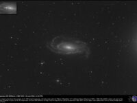 SN 2025mvn in the spiral galaxy NGC 5033. 18 June 2025.