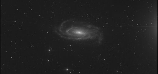 SN 2025mvn in the spiral galaxy NGC 5033. 18 June 2025.