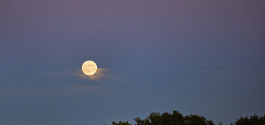 The Strawberry Full Moon 2025: poster of the event.