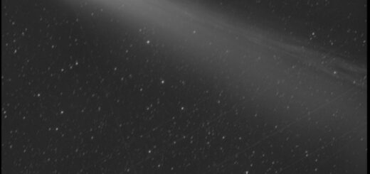 Comet C/2025 A6 Lemmon. 8 Nov. 2025.