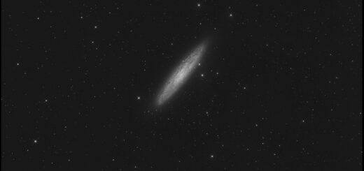 The intermediate spiral galaxy NGC 253.