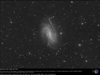 NGC 925. 19 November 2025.