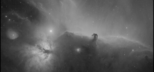 The “Horsehead” nebula (Barnard 33) and the many wonders all around.